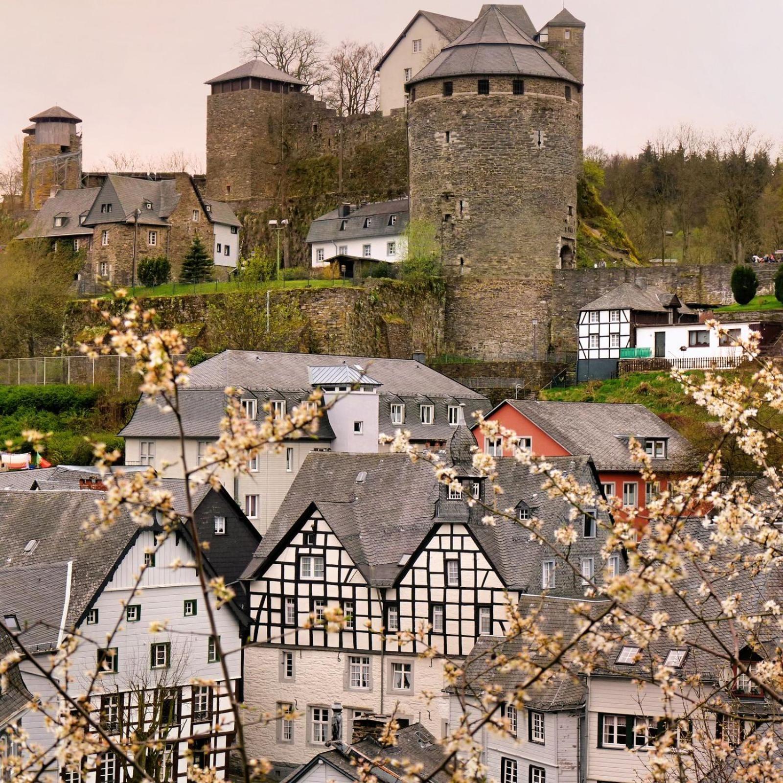 Eifel-life